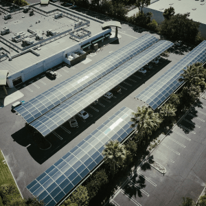 Sustainable Digital Media Driving Impact