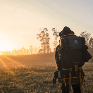 Customer Journey Mapping Driving Business Growth